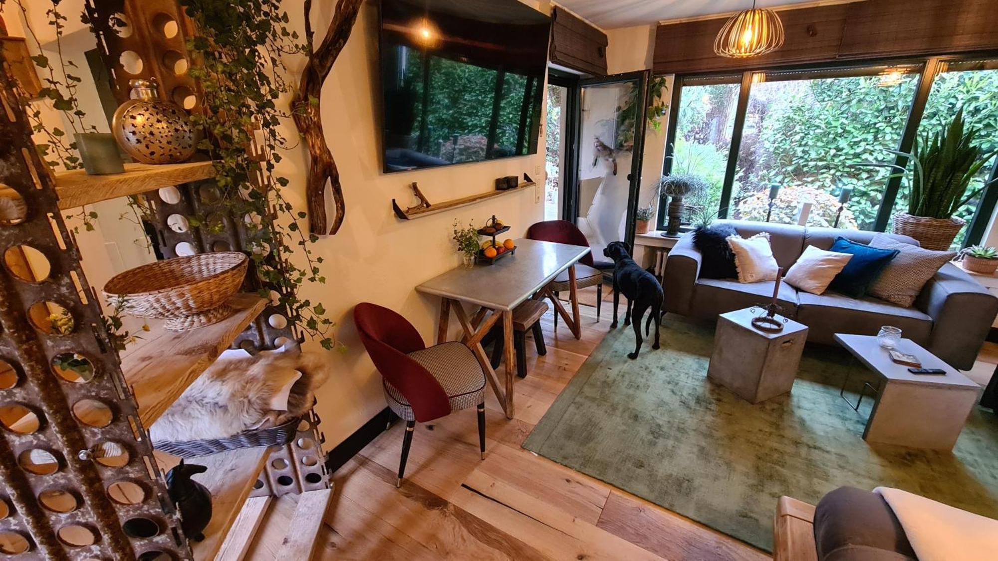 Boutique Apartments Benz I-Iii 베르기슈글라트바흐 외부 사진